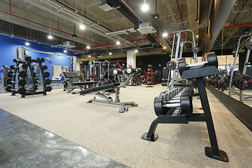 venetian-gym-01