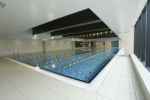 swimming